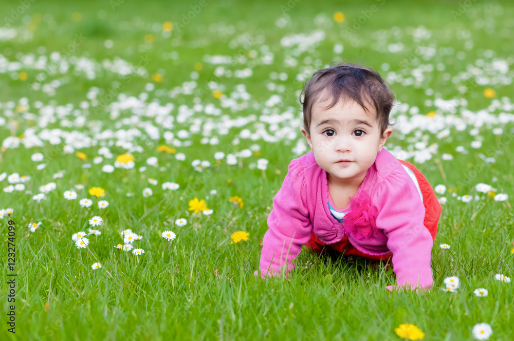 Cute chubby toddler crawling on the grass exploring nature outdoors in the park eye contact Cute chubby toddler crawling on the grass exploring nature outdoors in the park eye contact