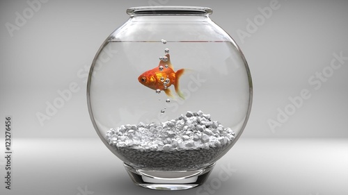 Gold fish in a fishbowl - bubbles photo