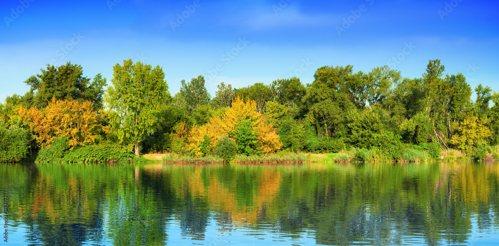 Fototapeta premium Colorful trees at river Danube, Hungary.