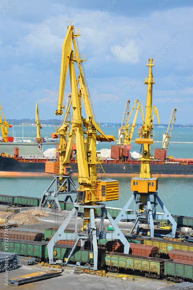 Bulk cargo ship and train under port crane
