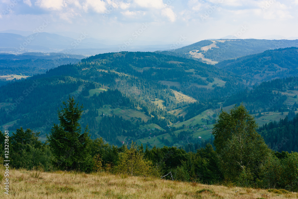 Carpathian Mountains in Summer. Beautiful nature landscape with mountains, trees and blue sky with clouds