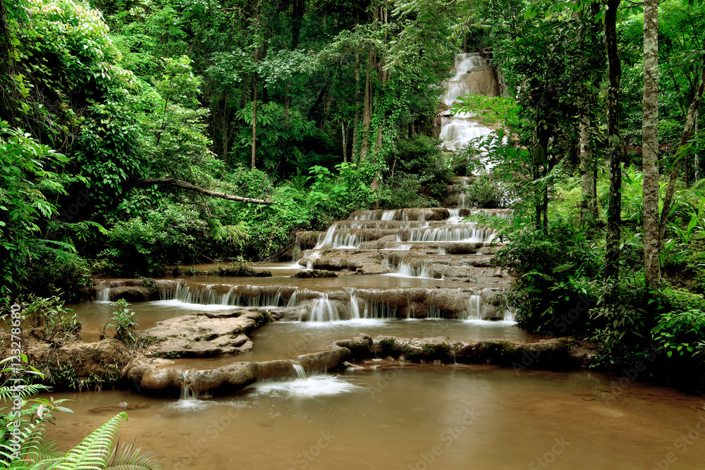 waterfall in green forest