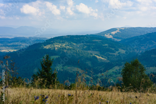 Carpathian Mountains in Summer. Beautiful nature landscape with mountains, trees and blue sky with clouds