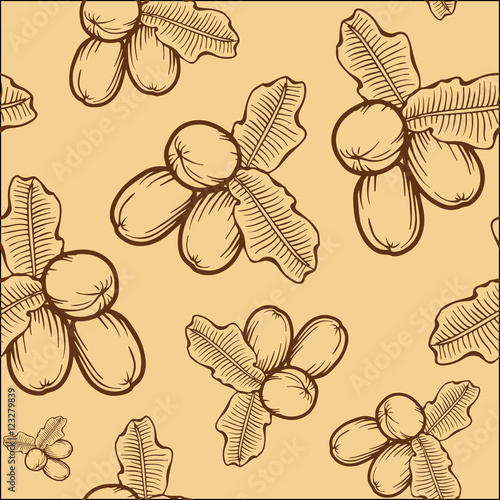shea nuts_pattern brown