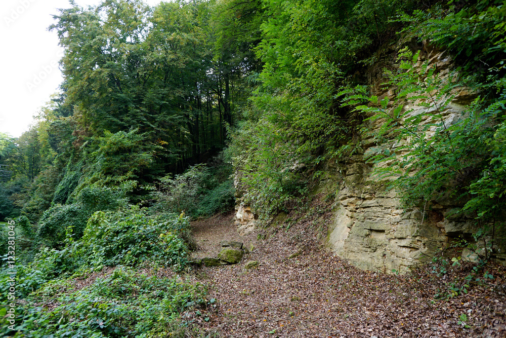 Obraz premium Felsen