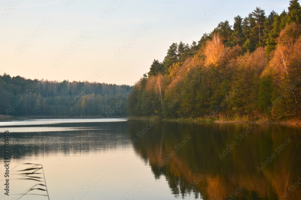 lake and autumn forest