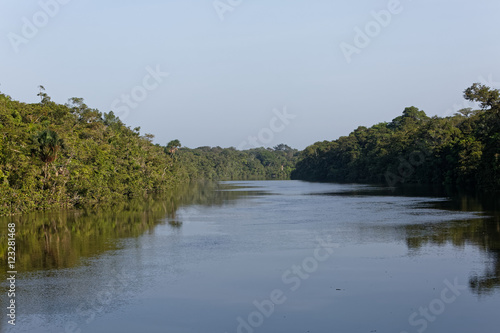 Amont du fleuve Kourou vu de la piste singes rouges à Kourou, Guyane française