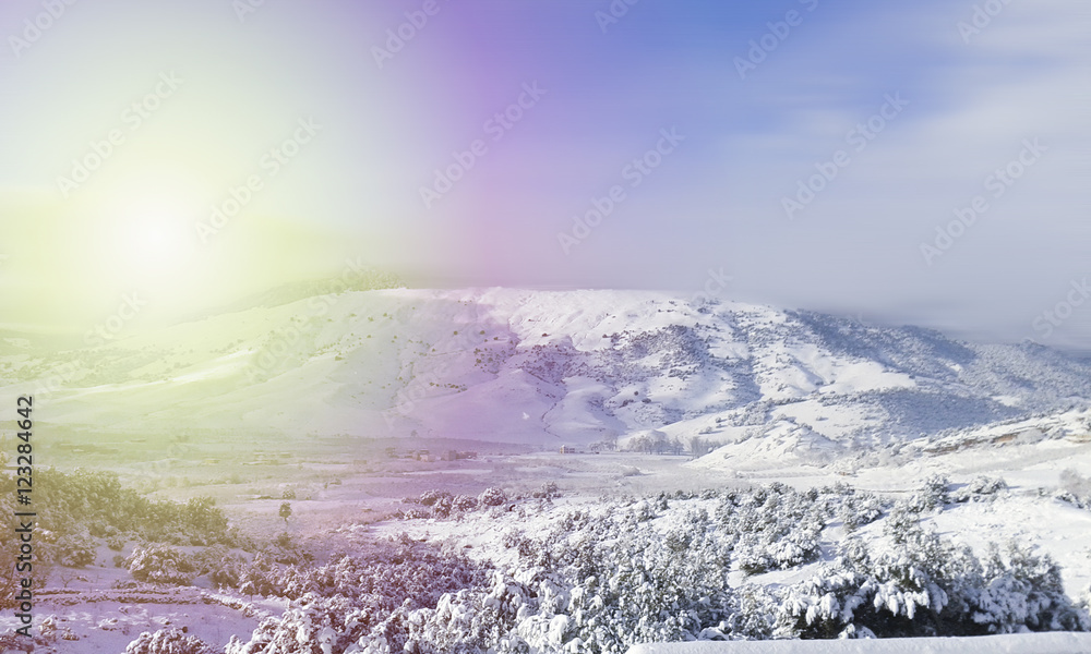 Fototapeta premium Snow