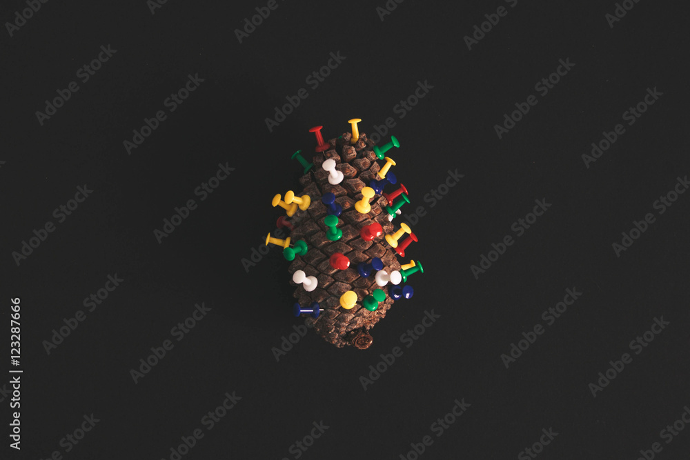 Pinecone is decorated with colored buttons on the black table top view