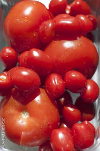 Tomatoes (ID: 123290210)