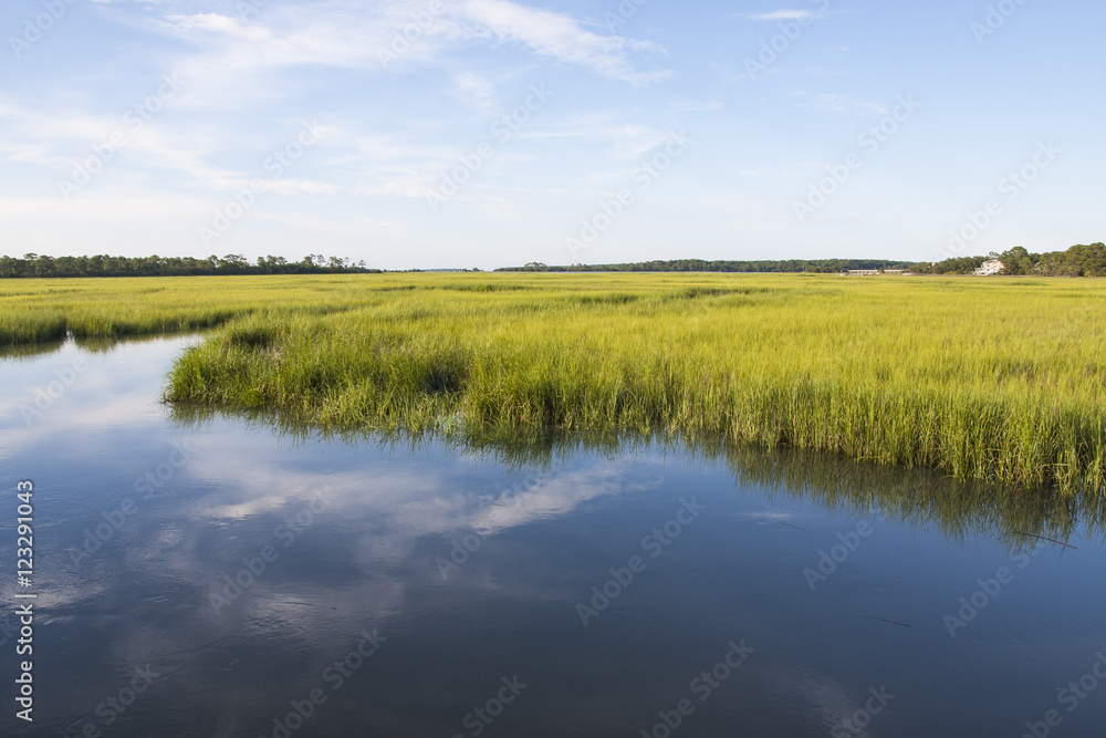 South Carolina salt marshlands