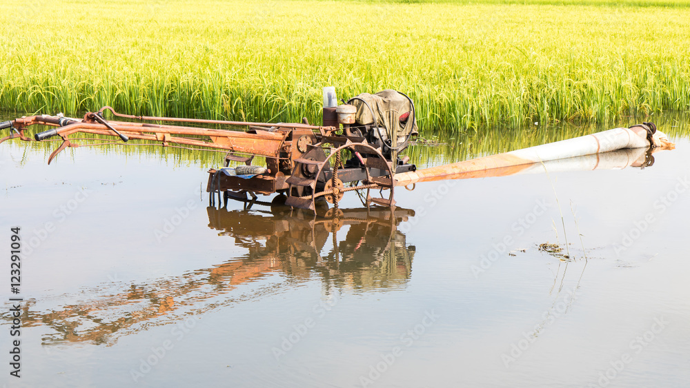 Obraz premium Tillers Water Reflections.