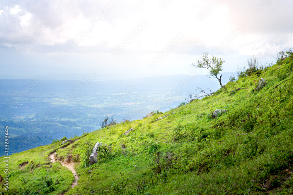 hiking way top of the moutain  in the morning forest