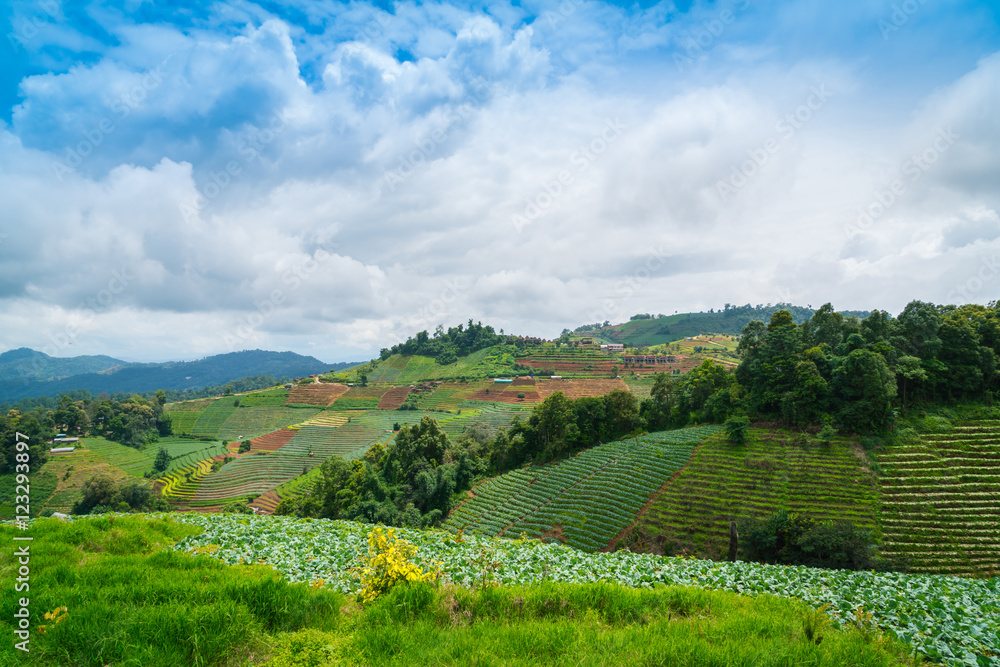 Obraz premium Beautiful mountain with blue sky landscape .