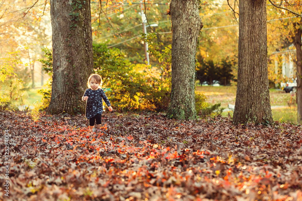 Toddler girl playing in the fall leaves Toddler girl playing in the fall leaves