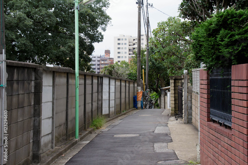 Trail of Yanaka photo