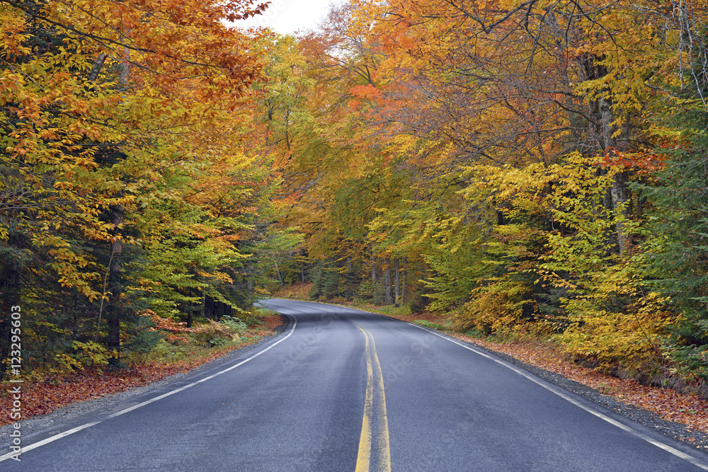 Driving in Autumn foliage with red, orange and yellow fall colors in the forest