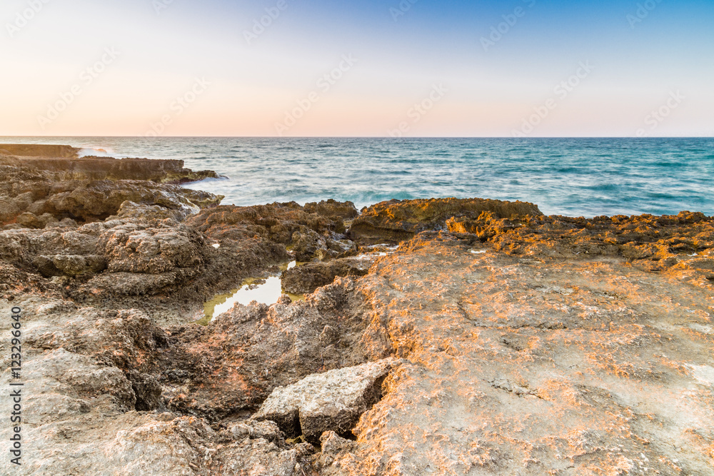 rocky shore of the Apulian coast