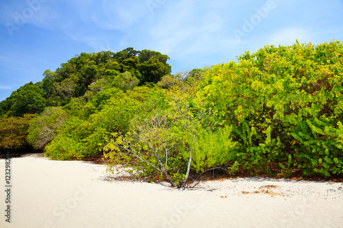 Beach and tropical sea