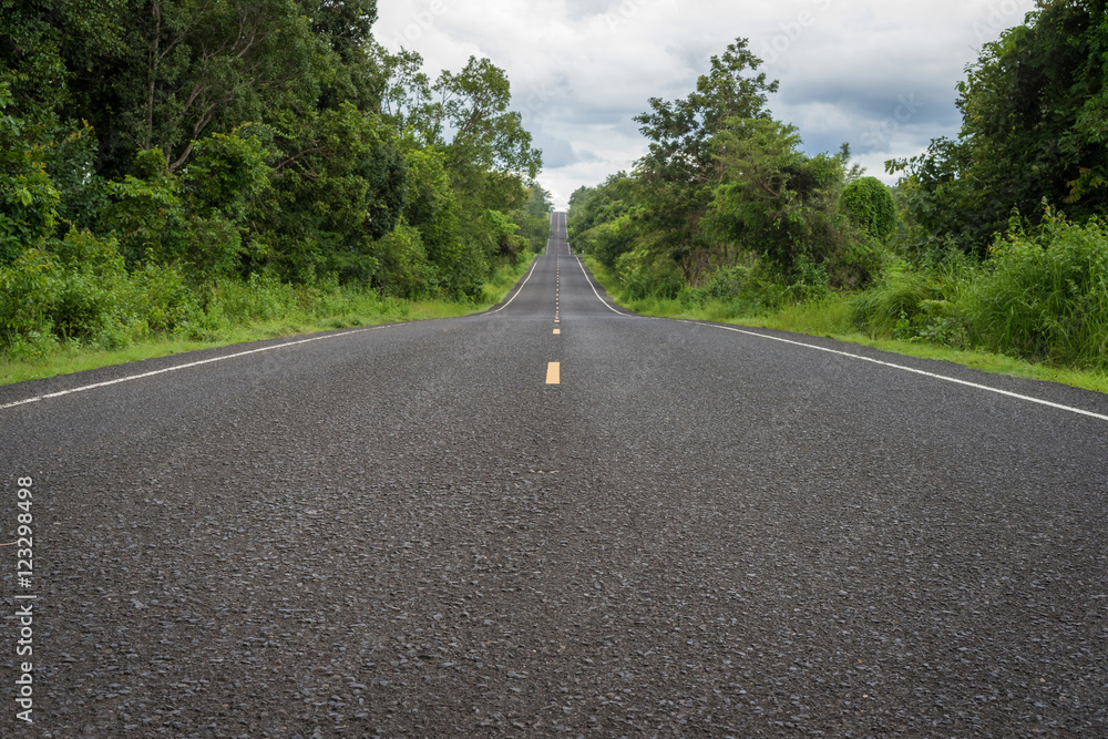 Texture of long symmetrical asphalt road in green forest Texture of long symmetrical asphalt road in green forest