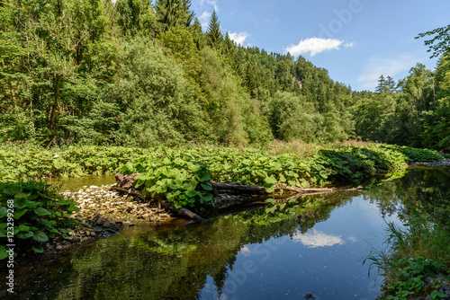 Wutach Gorge with river and waterfalls - Walking in beautiful landscape of the blackforest  Germany