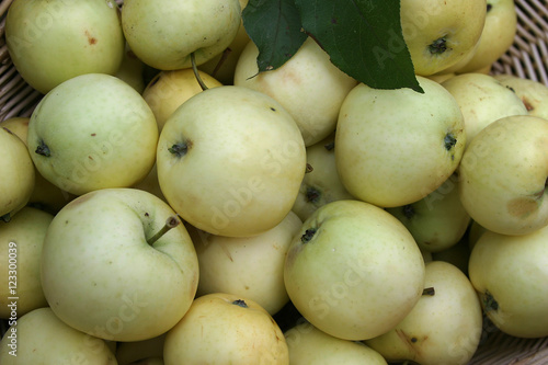 juicy, ripe apples in a wattled basket