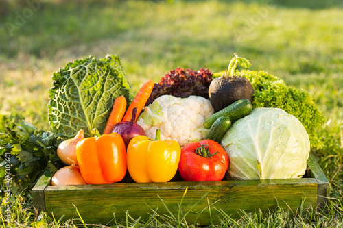 Foto fresh organic vegetables