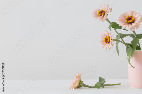 Billede på lærred Bouquet of zinnia flowers on white background