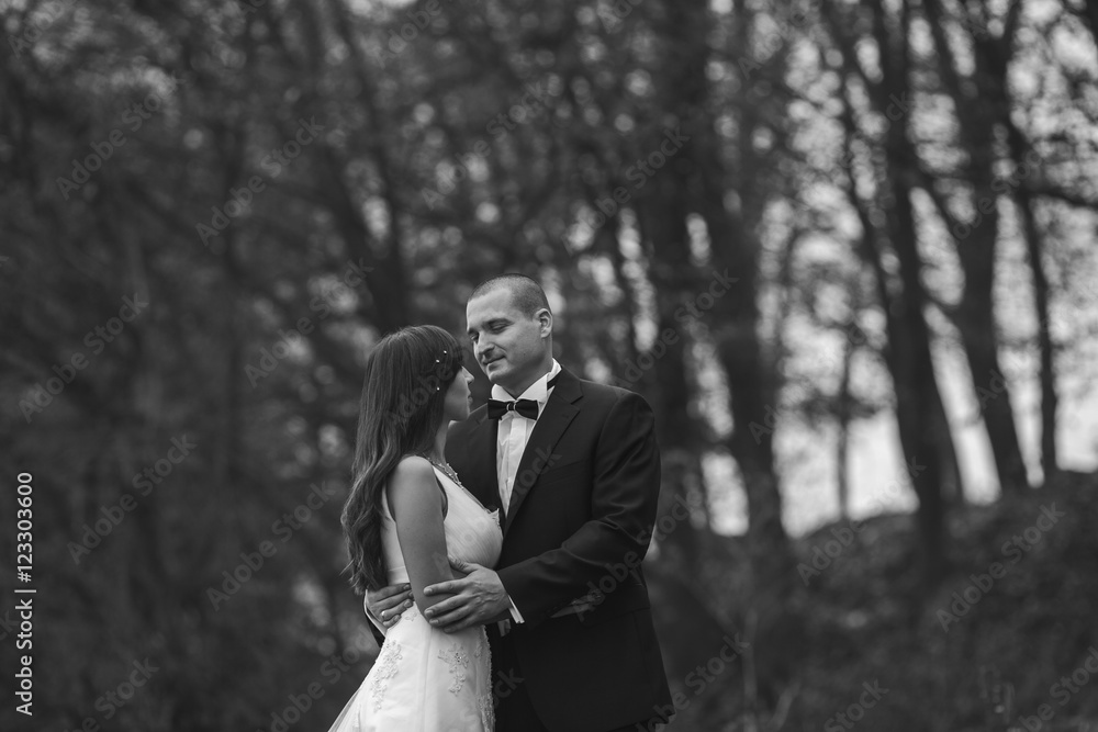 happy bride and groom posing in the autumn forest happy bride and groom posing in the autumn forest