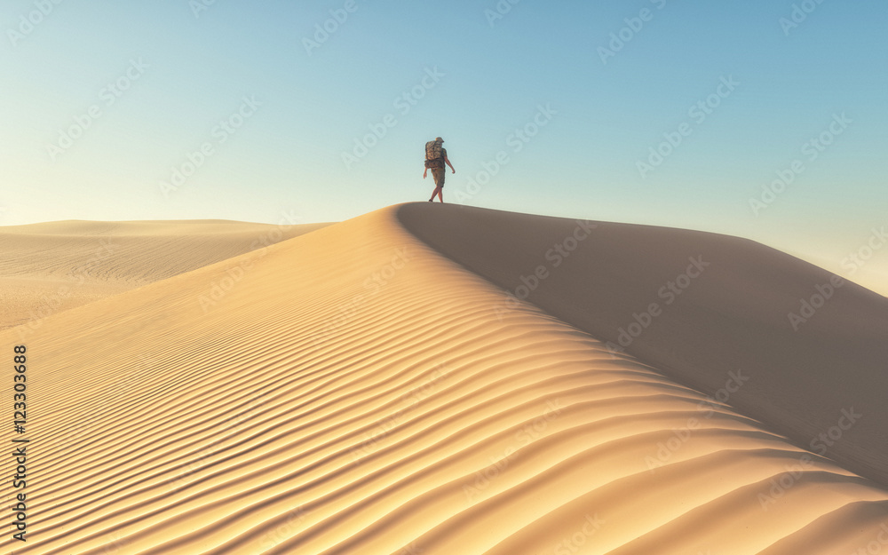 The man at the deserts landscape