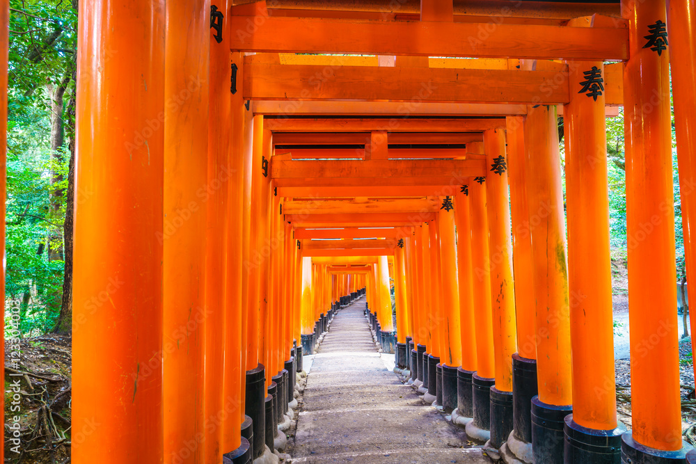 Red Tori Gate at Fushimi Inari Shrine Temple in Kyoto, Japan