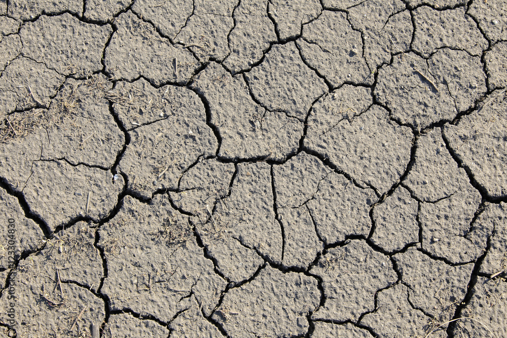 dry cracked earth dry cracked earth
