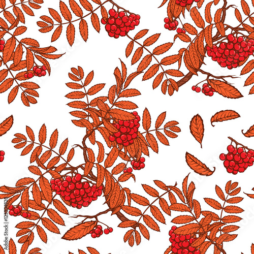 Autumn rowanberry leaves and berries. Detailed intricate hand drawing. Chaotic distribution of elements. Red on white seamless pattern. EPS10 vector illustration.
