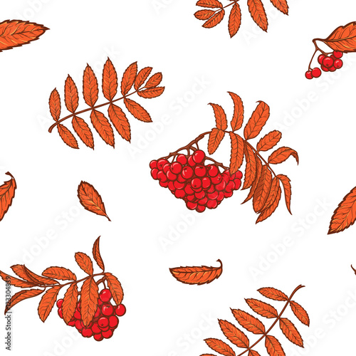 Autumn rowanberry leaves and berries. Detailed intricate hand drawing. Chaotic distribution of elements. Red on white seamless pattern. EPS10 vector illustration.