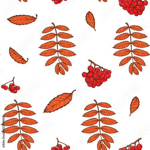 Autumn rowanberry leaves and berries. Detailed intricate hand drawing. Chaotic distribution of elements. Red on white seamless pattern. EPS10 vector illustration.