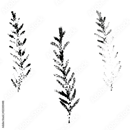 leaves prints global color