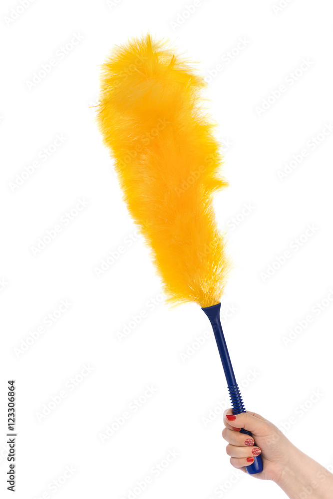 Whisk dust Stock Photo Adobe Stock