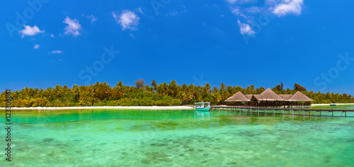 Tropical Maldives island