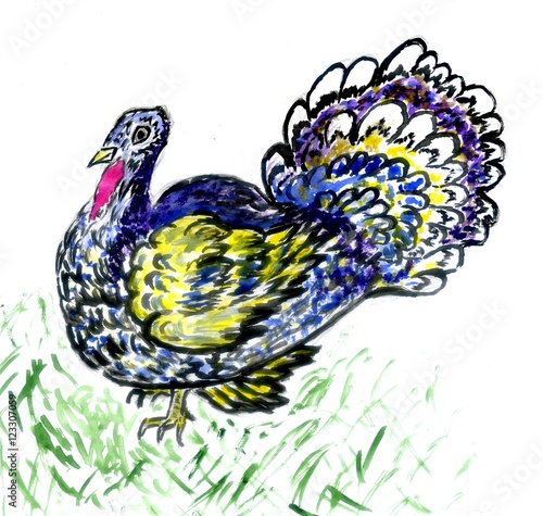 Painted Turkey Bird