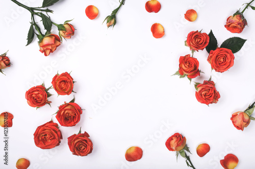 Frame of red roses on a white background