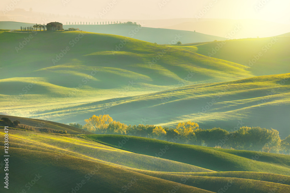 Sunny Morning Tuscany landscape with beautiful hills