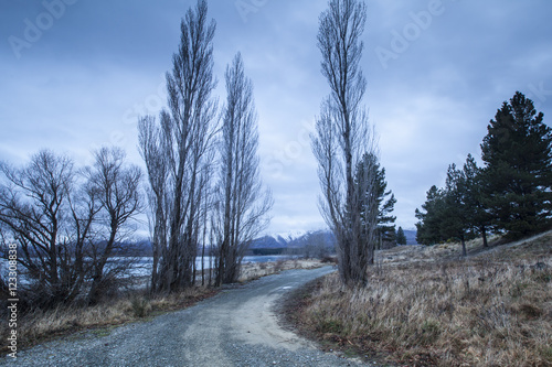 Lake Pukaki photo