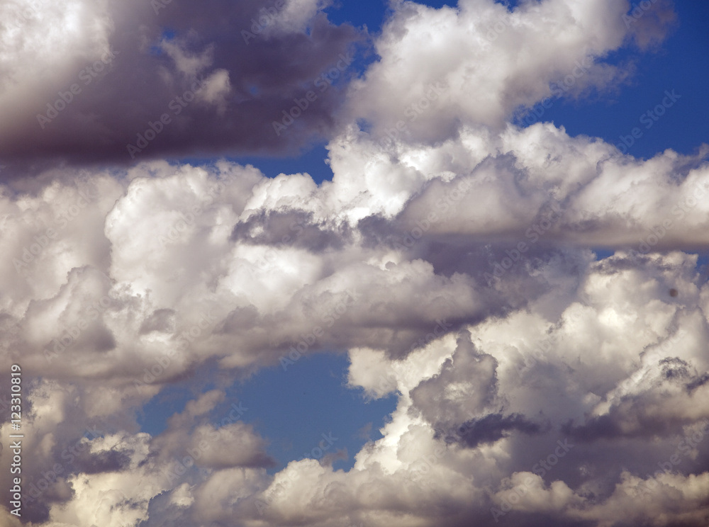 Fototapeta premium white clouds