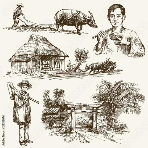 Asian farmers working on Field. Hand drawn illustration. Rice ha