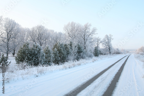 winter road © salman2
