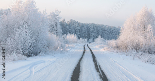 winter road © salman2