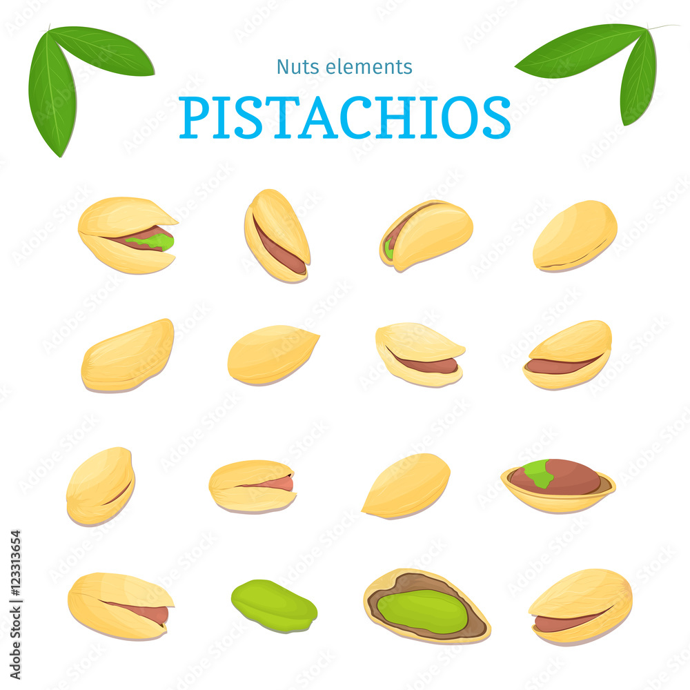 Vector set of nuts. Pistacia nut fruit, whole, peeled, piece of half, walnut in shell, leaves. Collection of pistachio nuts designer elements for use in packaging design projects flyer healthy eating Vector set of nuts. Pistacia nut fruit, whole, peeled, piece of half, walnut in shell, leaves. Collection of pistachio nuts designer elements for use in packaging design projects flyer healthy eating