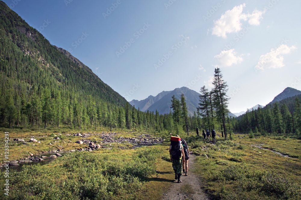 mountain landscape