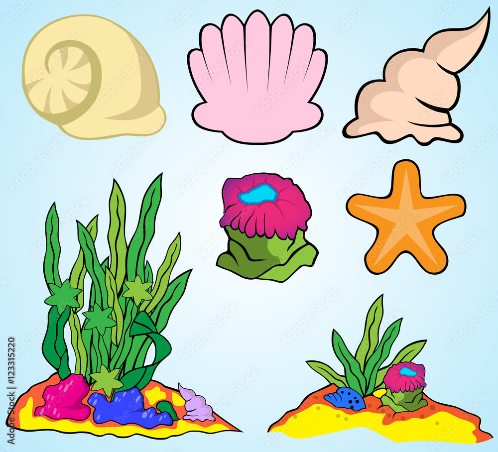 Sea shells and starfish vector set. nature marine vector illustration