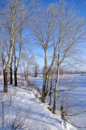 Winter on the river © salman2